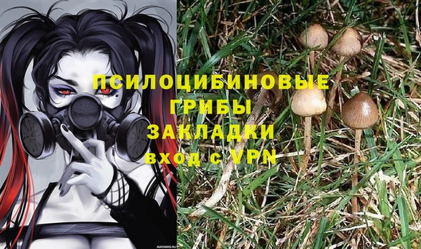 тгк Осташков